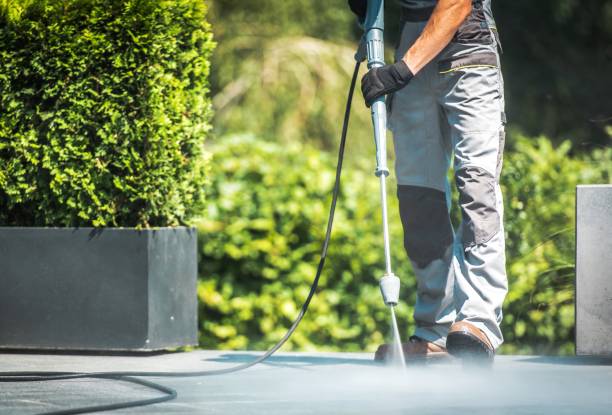Best Animal Enclosure Cleaning  in Wacousta, MI