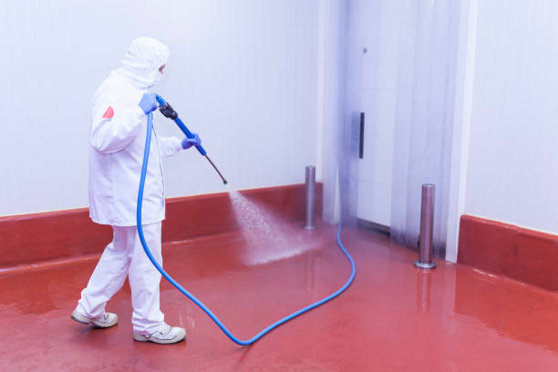  Wacousta, MI Pressure Washing Pros