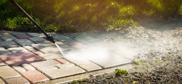 Best Building Exterior Washing  in Wacousta, MI