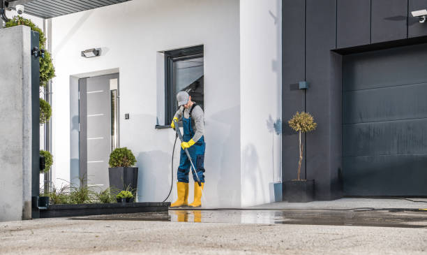 Best Sidewalk and Walkway Cleaning  in Wacousta, MI
