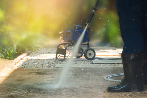 Animal Enclosure Cleaning in Wacousta, MI